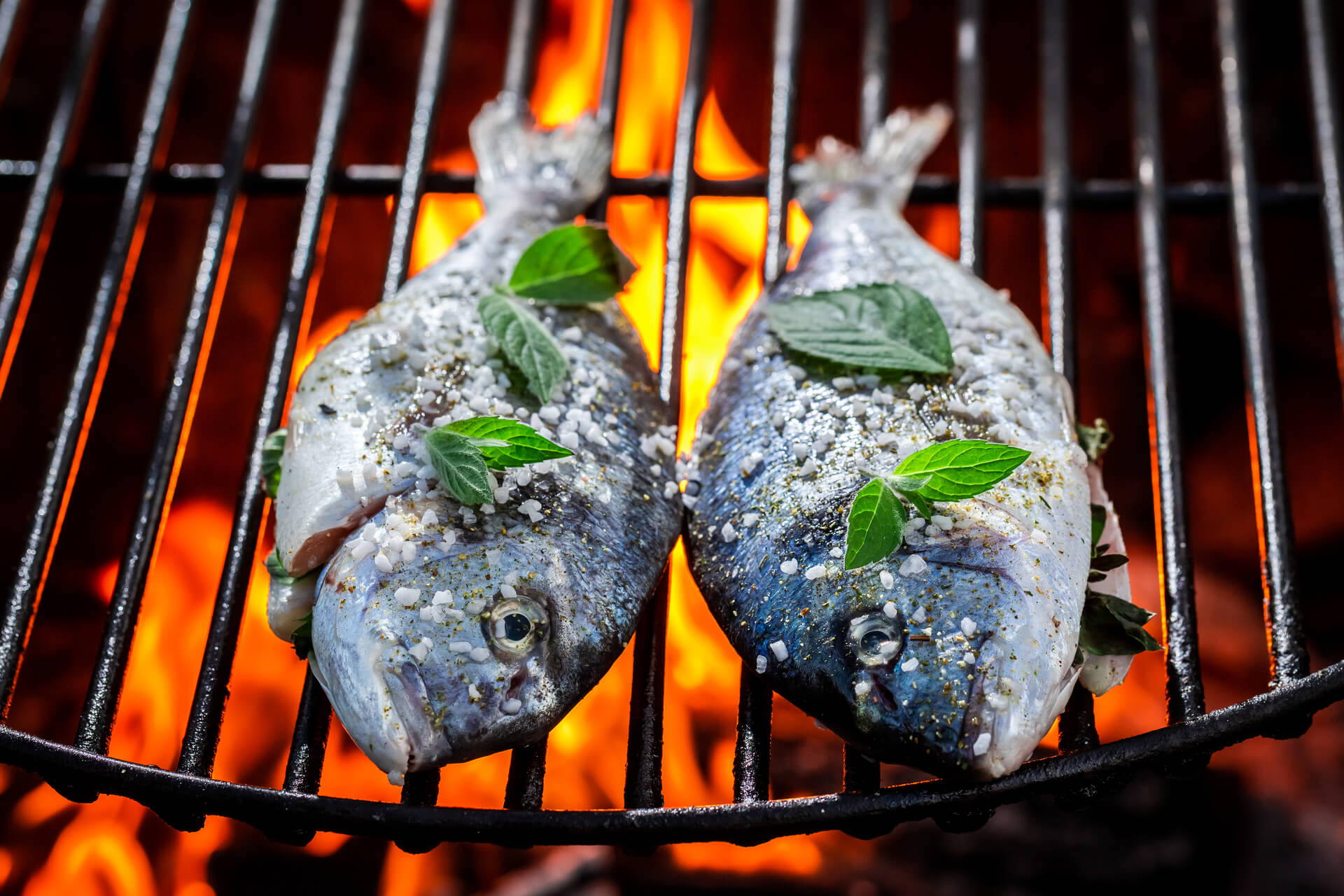 Печено месо — кетъринг за Никулден от Ивейн 2011